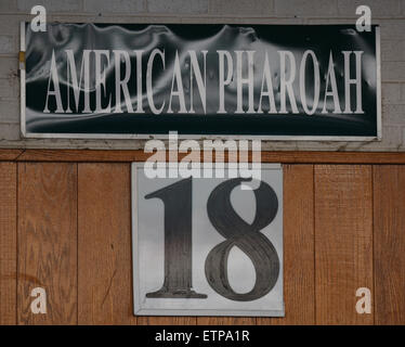 Lexington, KY, Stati Uniti d'America. Xiii Giugno, 2015. Stallo corona forTriple vincitore American Pharoah nel paddock. © csm/Alamy Live News Foto Stock