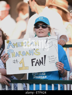 Lexington, KY, Stati Uniti d'America. Xiii Giugno, 2015. I fan di attendere per la Triple Crown vincitore American Pharoah nel paddock. © csm/Alamy Live News Foto Stock