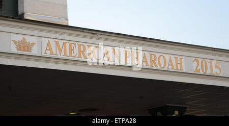 Lexington, KY, Stati Uniti d'America. Xiii Giugno, 2015. Segno forTriple Crown vincitore American Pharoah nel paddock. © csm/Alamy Live News Foto Stock