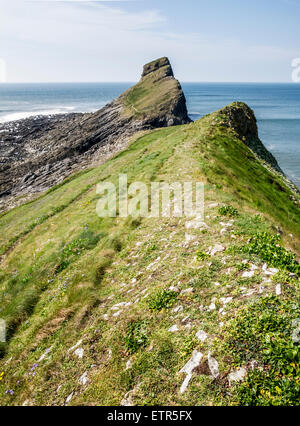 Vista lungo la porzione esterna della vite di testa, sulla Penisola di Gower, Galles Foto Stock