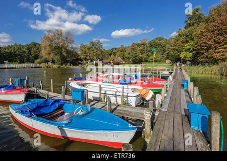 Pedalò e barca elettrica che la società di noleggio, Dreibergen, Bad Zwischenahn, Ammerland, Bassa Sassonia, Germania, Foto Stock
