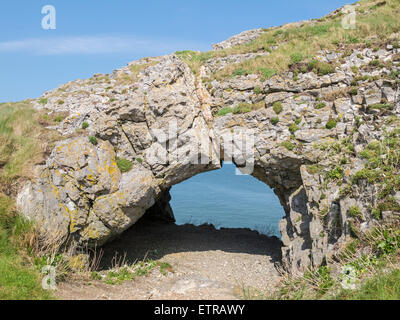 Vista e attraverso un tronco di grotta sul worm capo della Penisola di Gower, Galles Foto Stock