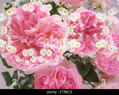 Strato fotografico lavorare da fiori, Foto Stock