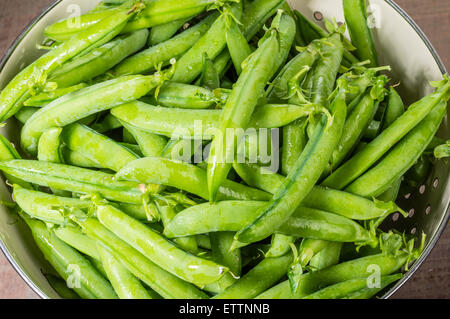 Appena raccolto verde baccelli di piselli in una ciotola di metallo Foto Stock