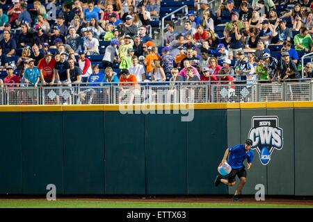 Omaha, NE, Stati Uniti d'America. Il 15 giugno, 2015. TD Ameritrade motivi equipaggio raccolta spiaggia di runaway sfere durante l'azione nel gioco 6 del 2015 uomini del NCAA College World Series tra la Virginia Cavaliers e Florida Gators a TD Ameritrade Park in Omaha, NE.Nathan Olsen/Cal Sport Media/Alamy Live News Foto Stock