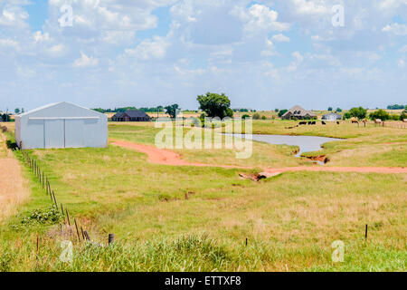 Una moderna casa colonica e fienile, pascolo del bestiame e un laghetto. Oklahoma, Stati Uniti d'America. Foto Stock