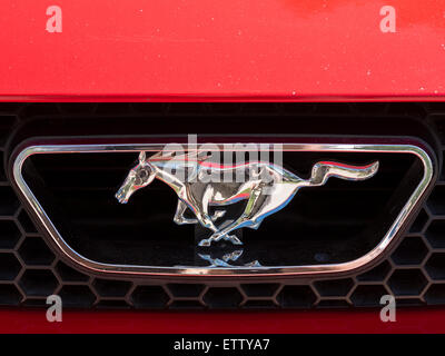 2000 Ford Mustang emblema, MG auto Rallye, Glenwood Springs, Colorado. Foto Stock