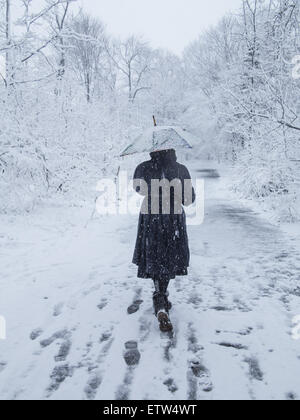Donna cammina da sola attraverso Prospect Park durante un wet tempesta di neve, Brooklyn, New York. Foto Stock