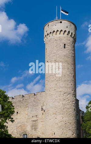 Tall Hermann - Il castello di Toompea tower nel centro di Tallinn, capitale dell'Estonia Foto Stock