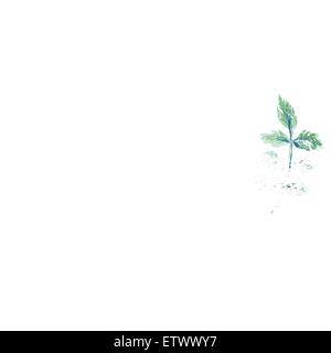 Acquerello alfabeto con fiori in stile vintage, vettore Illustrazione Vettoriale