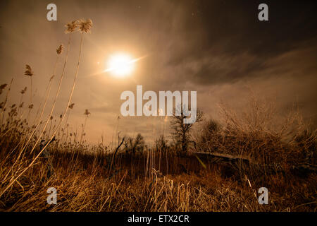 Alo ray della luna - notte di luna piena paesaggio mistico sfondo Foto Stock