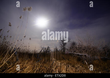 Alo ray della luna - notte di luna piena paesaggio mistico sfondo Foto Stock