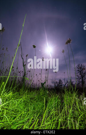 UfO ray del insolito luna piena halo - notte mistica sullo sfondo del paesaggio Foto Stock