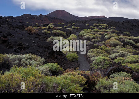 Via attraverso il paesaggio vulcanico con tipica vegetazione, il Vulcano di Teneguia dietro, vicino a Fuencaliente, La Palma Foto Stock