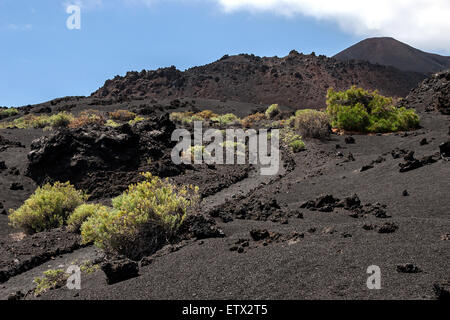 Via attraverso il paesaggio vulcanico con tipica vegetazione, il Vulcano di Teneguia sul lato posteriore destro Foto Stock