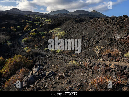 Via attraverso il paesaggio vulcanico con tipica vegetazione, i vulcani de Teneguia e de San Antonio dietro Foto Stock