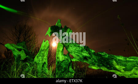 Albero bruciato -in luce verde durante la notte di luna piena,stelle e mystyc sullo sfondo del paesaggio Foto Stock