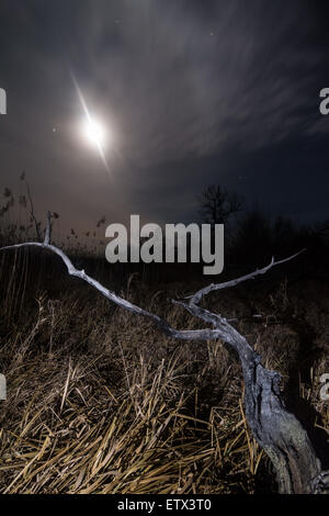 Alo ray della luna - notte di luna piena paesaggio mistico sfondo Foto Stock