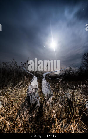 Alo ray della luna - notte di luna piena paesaggio mistico sfondo Foto Stock