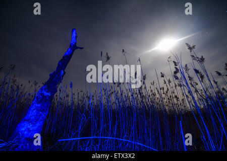 UfO ray della luna insolita - notte di luna piena paesaggio mistico sfondo Foto Stock