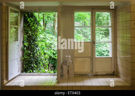 Europa, Deutschland, mit Rollen Toilettenpapier auf einer Fensterbank einer oeffentlichen toilette. L'Europa, Germania, rotoli con Foto Stock