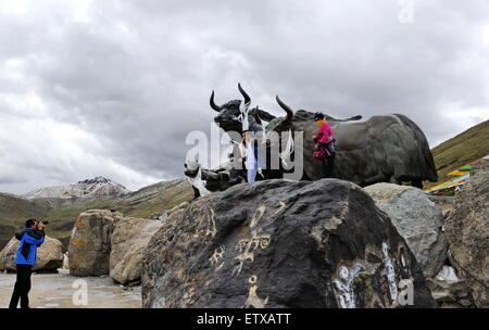 Mila Mountain Pass. 14 Giugno, 2015. I ciclisti scattare foto dal lato della pietra sculture di yak a Mila Mountain Pass nel sud-ovest della Cina di regione autonoma del Tibet, 14 giugno 2015. Mila Mountain Pass, che si trova tra Maizhokunggar contea di Lhasa e Gongbo'gyamda contea della prefettura di Nyingchi, è il punto più alto della sezione Lhasa-Nyingchi del n. 318 via nazionale con la sua altitudine a 5, 013 metri. © Zhang Rufeng/Xinhua/Alamy Live News Foto Stock