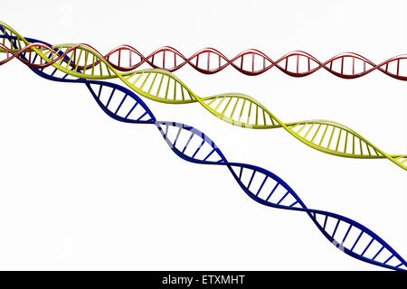 3D render ,Modello di twisted catena di DNA isolato su sfondo bianco ad alta risoluzione. Foto Stock