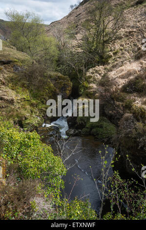 Afon Irfon (Fiume Irfon), Nant Irfon Valley, Abergwesyn comuni (Comin Abergwesyn) Riserva Naturale Nazionale, Powys, Wales, Regno Unito. Foto Stock