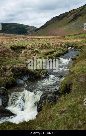 Afon Irfon (Fiume Irfon), Nant Irfon Valley, Abergwesyn comuni (Comin Abergwesyn) Riserva Naturale Nazionale, Powys, Wales, Regno Unito. Foto Stock