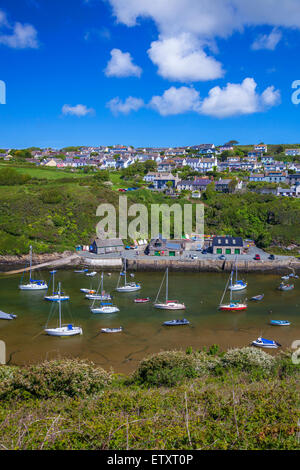 Solva Harbour, Pembrokeshire, Galles, Regno Unito Foto Stock