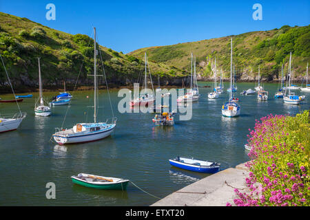 Solva Harbour, Pembrokeshire, Galles, Regno Unito Foto Stock