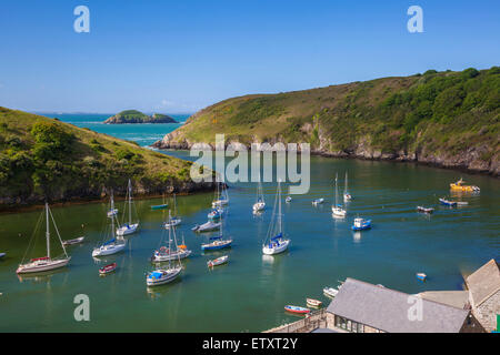 Solva Harbour, Pembrokeshire, Galles, Regno Unito Foto Stock