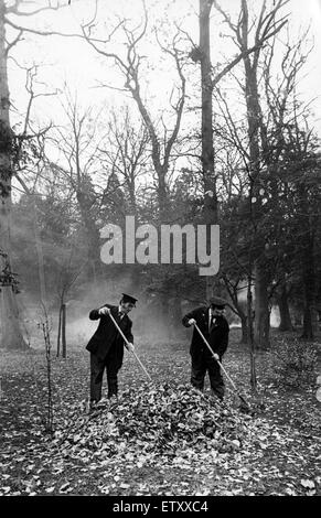 Park Rangers, la raccolta delle foglie a Stewart Park, Blackpool, Inghilterra, il 20 novembre 1980. Foto Stock