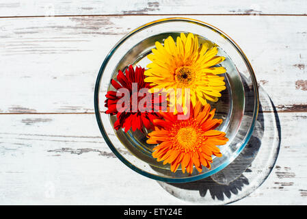 Dai colori luminosi margherite gerbera in vaschetta trasparente con acqua sul tavolo vintage vista superiore Foto Stock