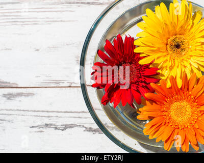 Dai colori luminosi margherite gerbera in vaschetta trasparente con acqua sul tavolo vintage vista superiore Foto Stock