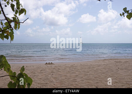 Spiaggia tropicale in Martinica Grande Anse des Salines Foto Stock