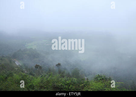 Vista da Raja del posto di guida Foto Stock