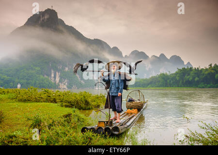 Cormorano pescatore e i suoi uccelli sul fiume Li in Yangshuo, Guangxi, Cina. Foto Stock