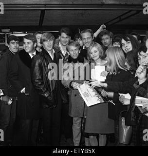 I Beach Boys sono arrivati all'aeroporto di Londra. La loro registrazione di 'ottengo intorno all' in cima 20 sulla hit parade. 1 novembre 1964. Foto Stock