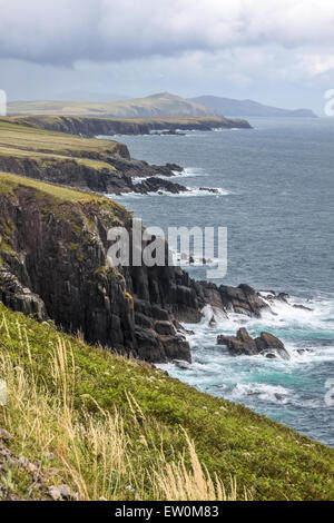 Costa a Slea Head Drive, Iveragh Peninsula, nella contea di Kerry, Irlanda Foto Stock