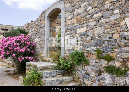 Un vecchio ingresso sull'Isola di Spinalonga che cresce fiori selvatici. Foto Stock