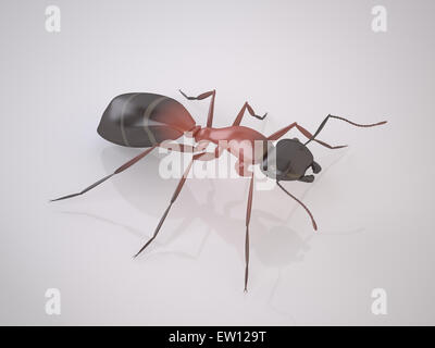 Il tridimensionale Ant su sfondo bianco. È una peste. Alta risoluzione 3D Render Foto Stock
