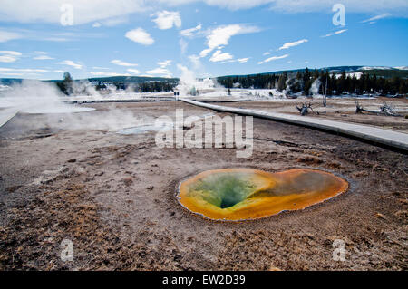 Piscina belga nella Upper Geyser Basin nel Parco Nazionale di Yellowstone WY Foto Stock