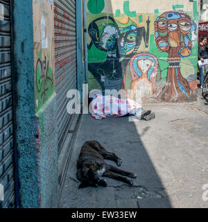 L uomo e il cane di dormire sulla strada, Santiago, Santiago Regione Metropolitana, Cile Foto Stock
