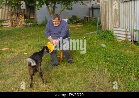 Senior feed agricoltore giovane capra Foto Stock