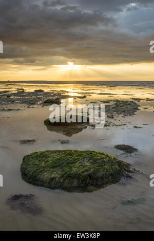 Vista di alghe rocce coperte e le piscine sulla spiaggia con la bassa marea, al tramonto, Reculver, Kent, Inghilterra, Agosto Foto Stock