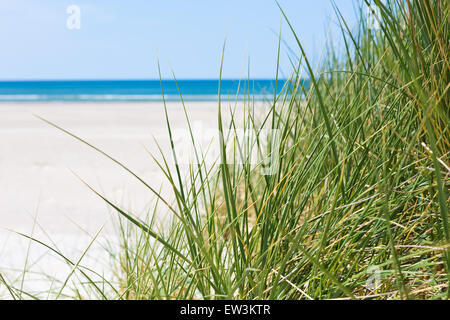 La sabbia bianca, verde erba, mare blu Foto Stock