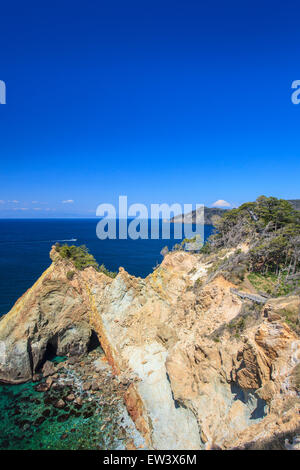 Mt. Fuji vista dal Capo Koganezaki, Izu, Shizuoka, Giappone Foto Stock