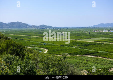 Area fertile vicino Makarska Riviera, Dalmazia, Croazia Foto Stock