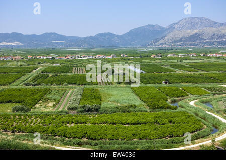 Area fertile vicino Makarska Riviera, Dalmazia, Croazia Foto Stock